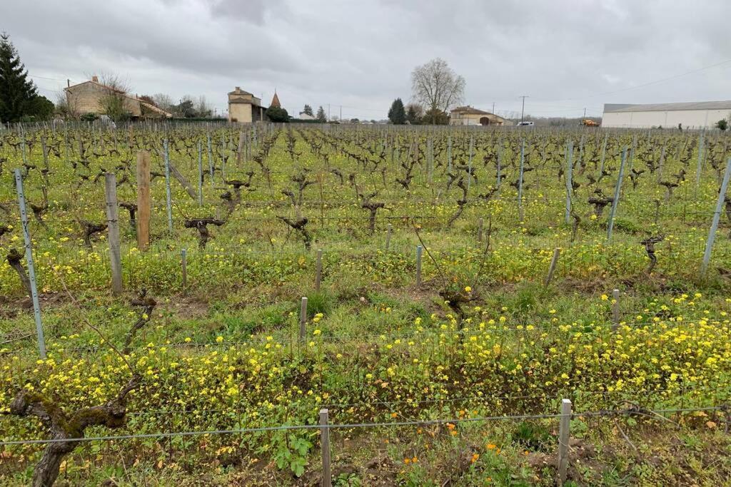 Chateau Roseyrol Proche Saint-Emilion 외부 사진