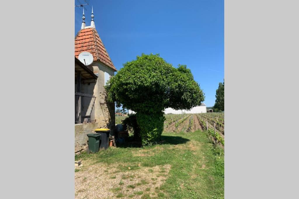 Chateau Roseyrol Proche Saint-Emilion 외부 사진