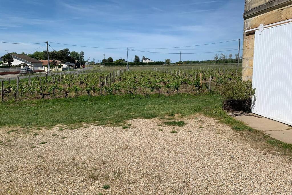 Chateau Roseyrol Proche Saint-Emilion 외부 사진