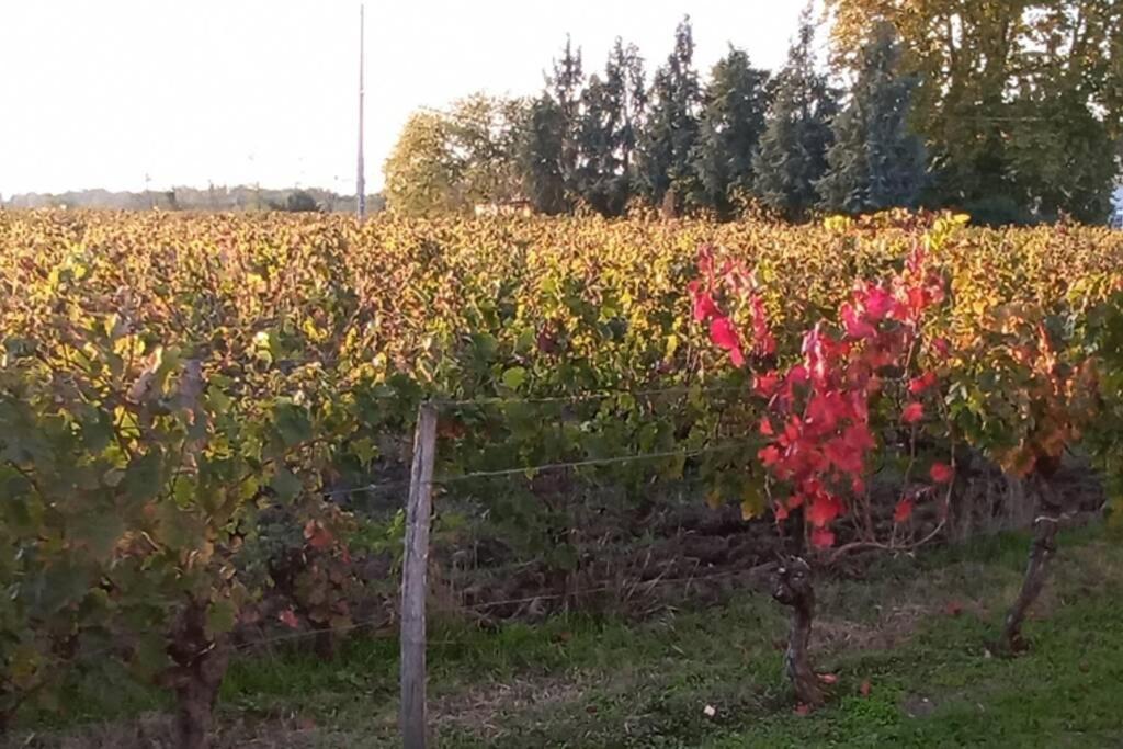 Chateau Roseyrol Proche Saint-Emilion 외부 사진